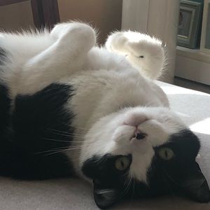 Meet your Posher, Ann